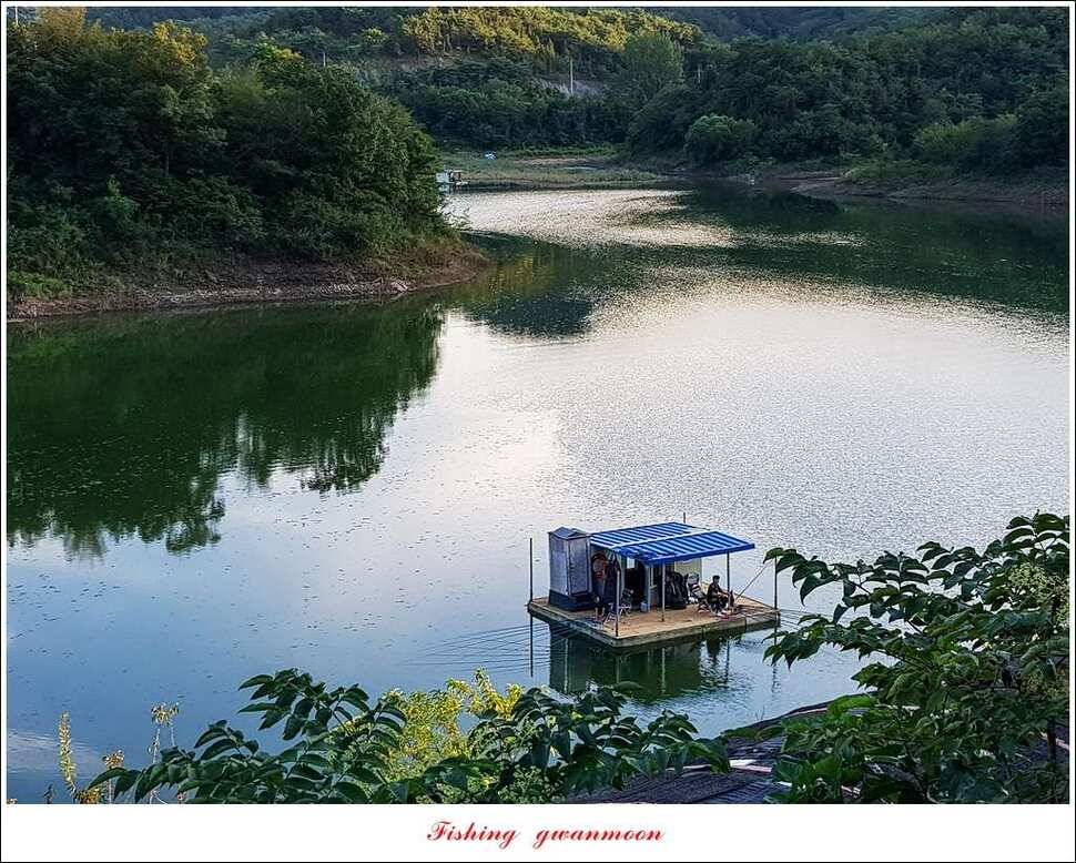 화곡지 사짜실리곡 월척 및 마릿수 조황 (조황조행기 - 특파원조황)