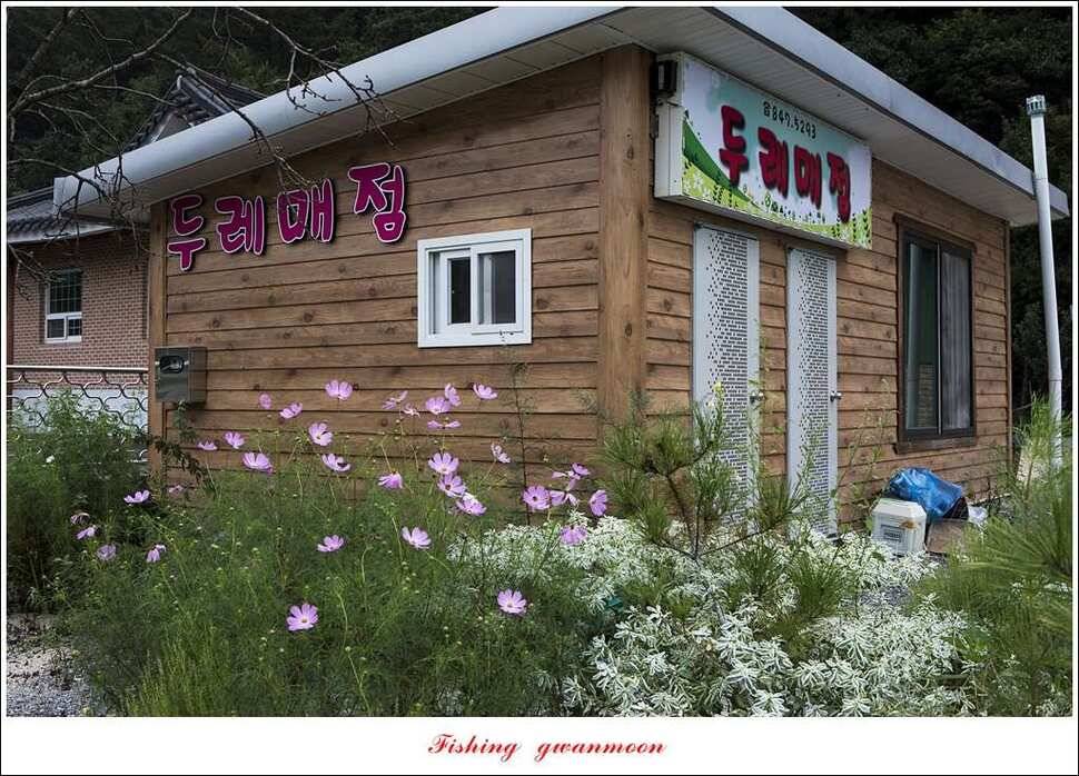 추평지화곡지한버들두무소달천강소류지 조황 (조황조행기 - 특파원조황)