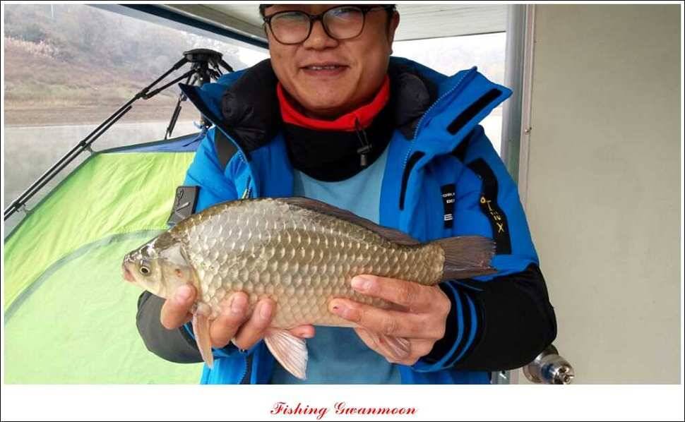 제일 41 cm 짱가네 42 cm돌감 실리곡노지 마릿수 월척 (조황조행기 - 특파원조황)