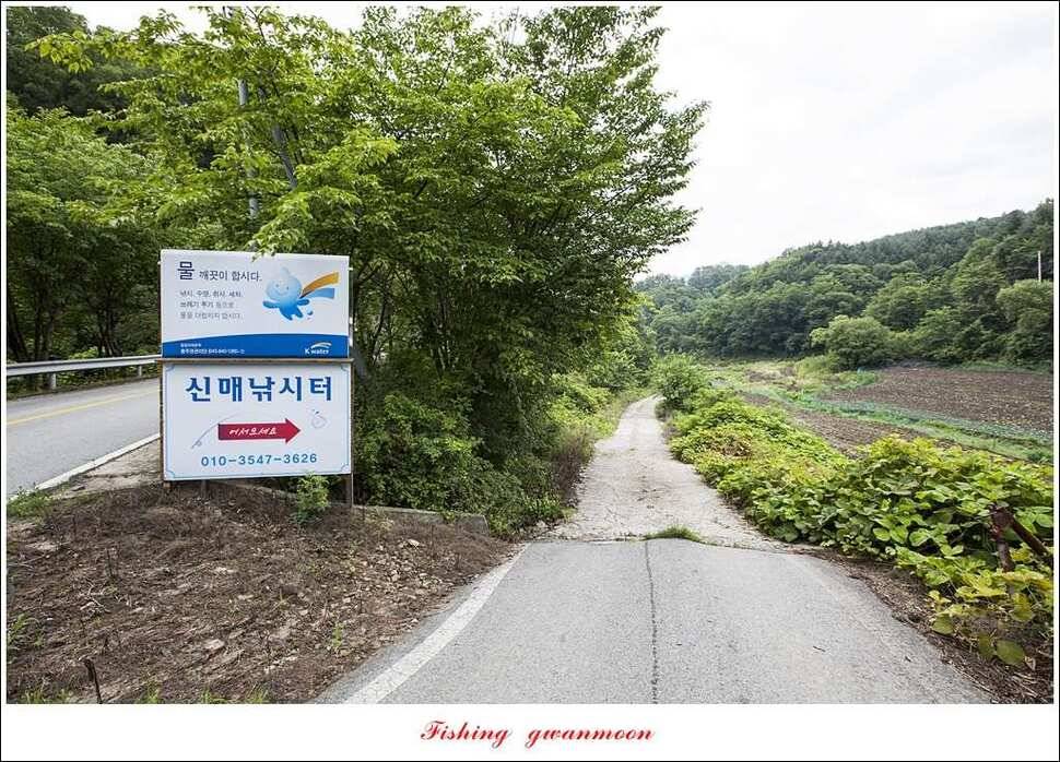 늘푸른 42cm415 cm신매 41 cm실리곡 40 cm제일 38 cm (조황조행기 - 특파원조황)