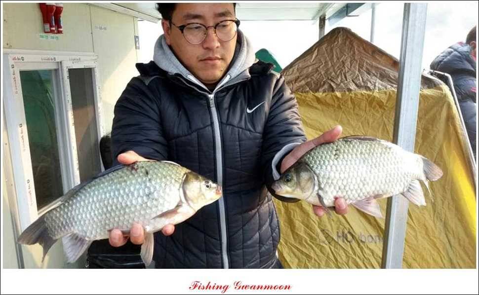 제일 41 cm 짱가네 42 cm돌감 실리곡노지 마릿수 월척 (조황조행기 - 특파원조황)