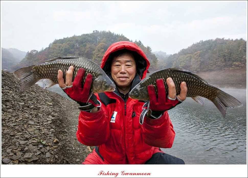 제일 41 cm 짱가네 42 cm돌감 실리곡노지 마릿수 월척 (조황조행기 - 특파원조황)