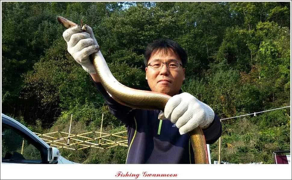 늘푸른 장어실리곡제일 달천강 월척 (조황조행기 - 특파원조황)