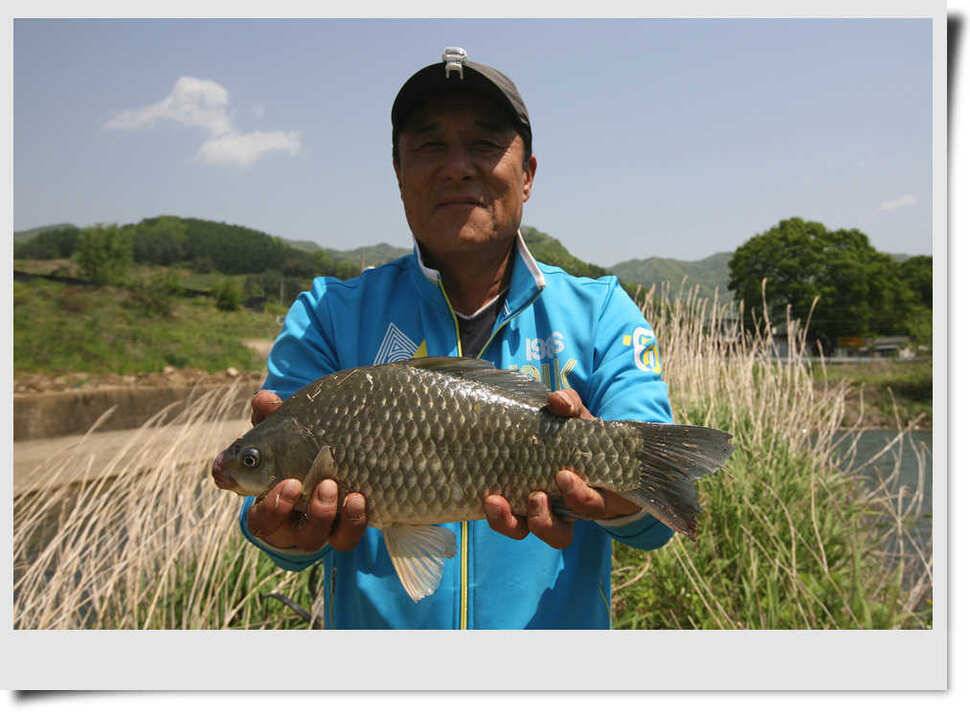 값진 4짜들 (조황조행기 - 특파원조황)