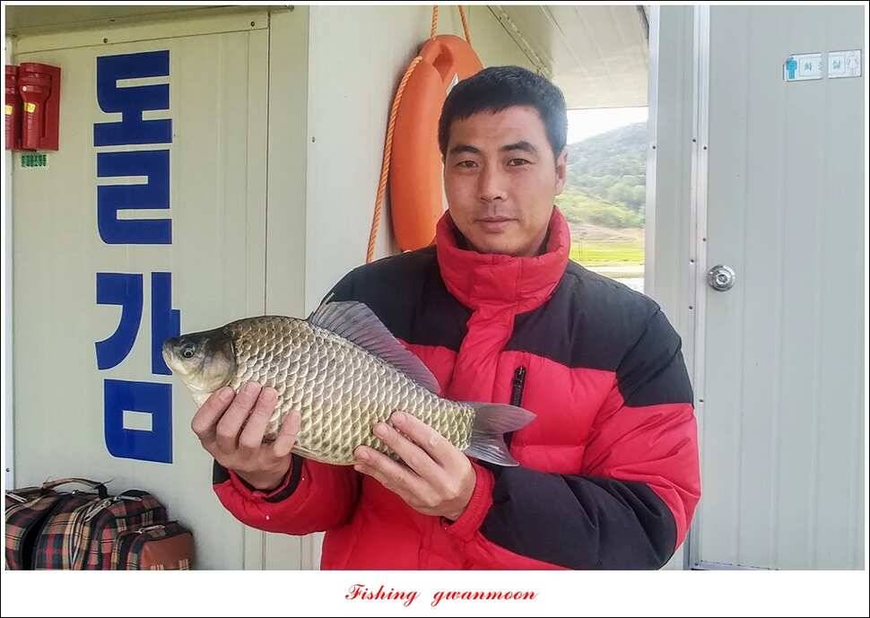 한버들 42 cm돌감 41 cm화곡지 호조황실리곡 조황 (조황조행기 - 특파원조황)