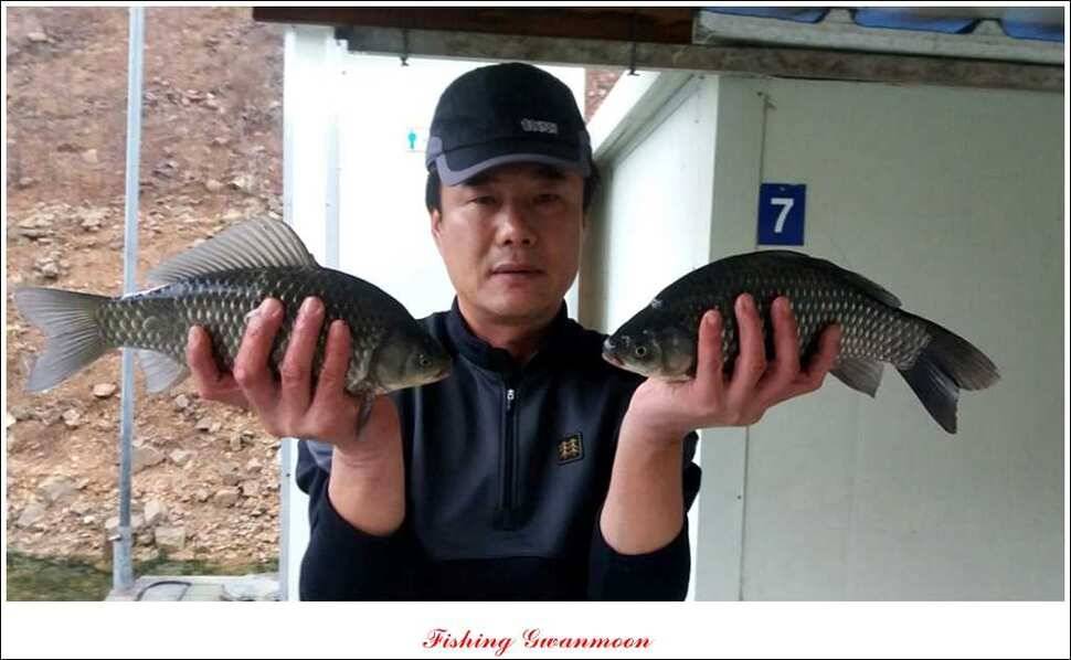실리곡 월척 행진 (조황조행기 - 특파원조황)