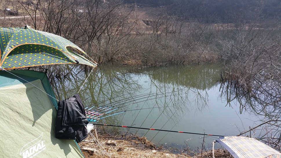 충주호 추평지 소식입니다 (조황조행기 - 특파원조황)