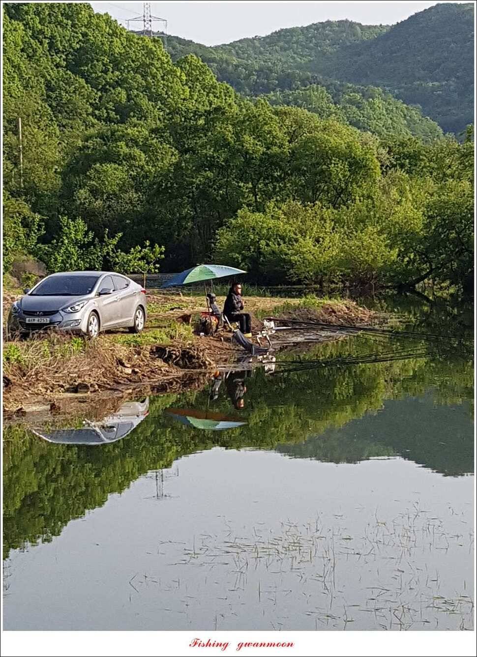 한버들 42 cm돌감 41 cm화곡지 호조황실리곡 조황 (조황조행기 - 특파원조황)
