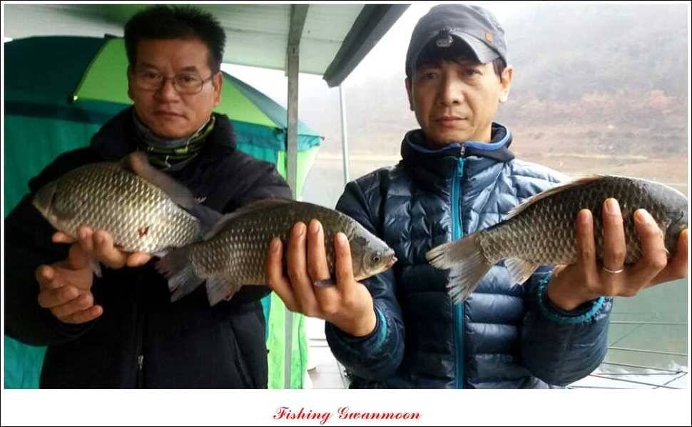 실리곡 월척 행진 (조황조행기 - 특파원조황)