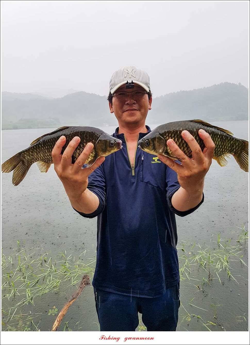 추평지 48 cm화곡지 마릿수 월척실리곡 조황 (조황조행기 - 특파원조황)