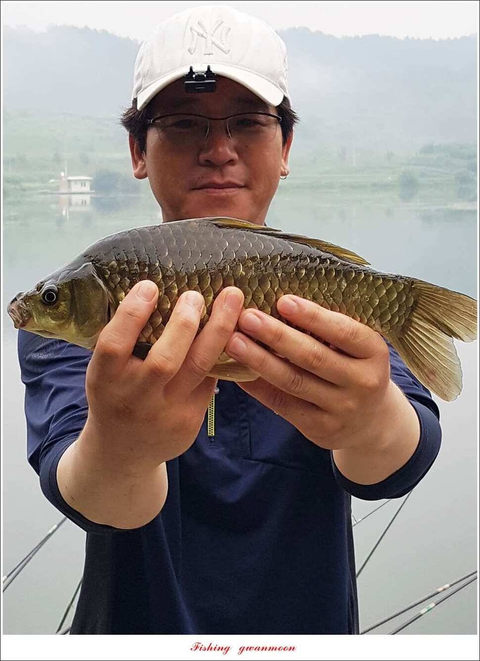 추평지 48 cm화곡지 마릿수 월척실리곡 조황 (조황조행기 - 특파원조황)