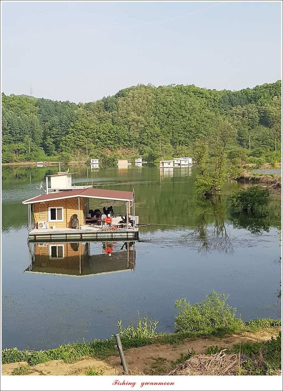 한버들 42 cm돌감 41 cm화곡지 호조황실리곡 조황 (조황조행기 - 특파원조황)