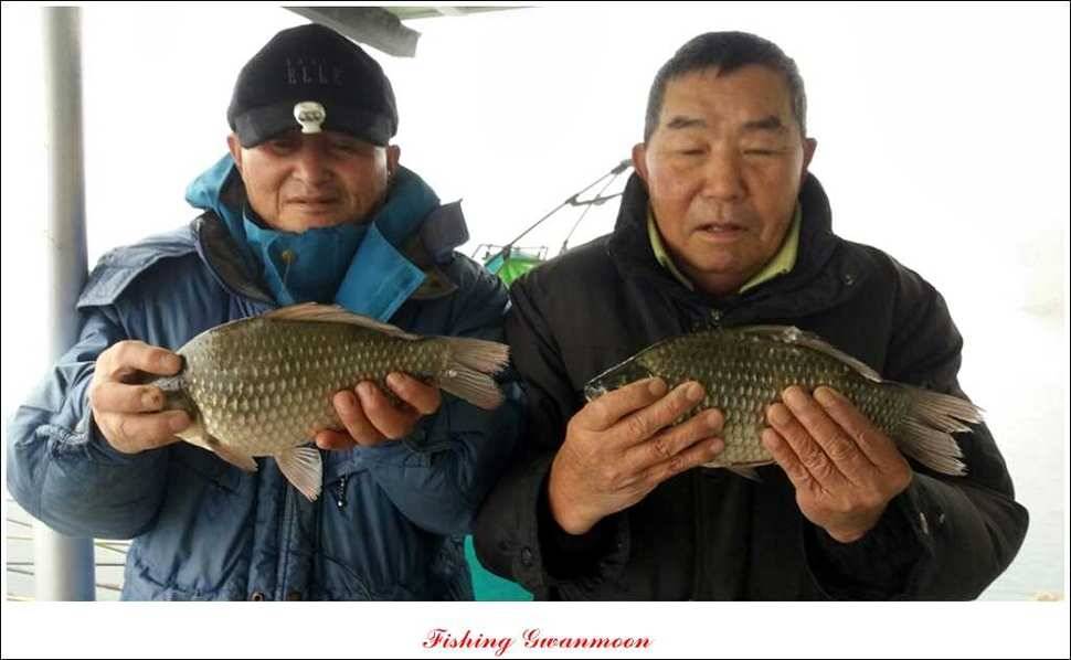실리곡 월척 행진 (조황조행기 - 특파원조황)
