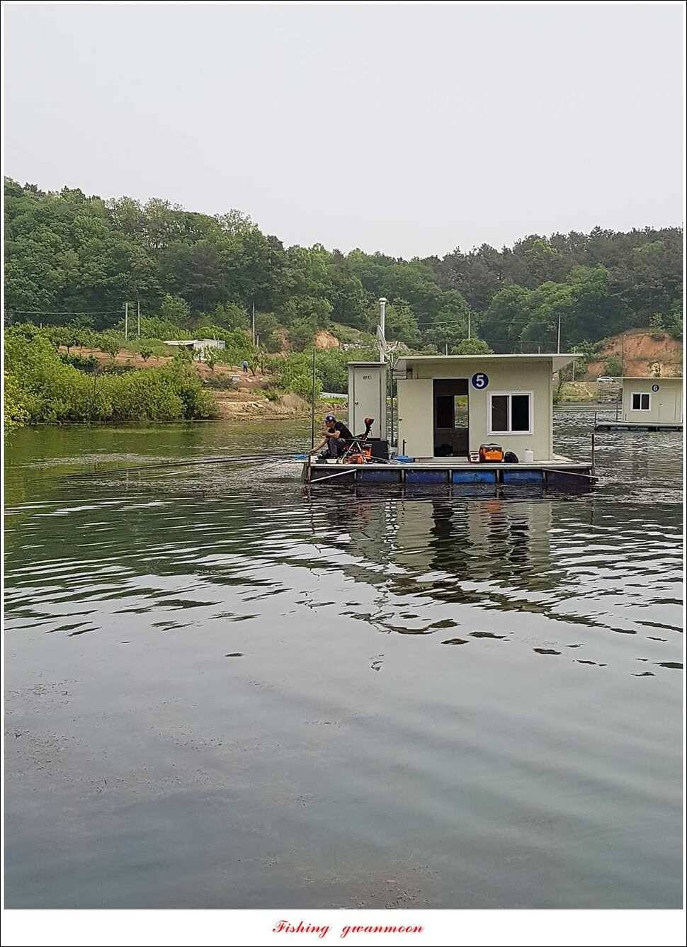 한버들 42 cm돌감 41 cm화곡지 호조황실리곡 조황 (조황조행기 - 특파원조황)
