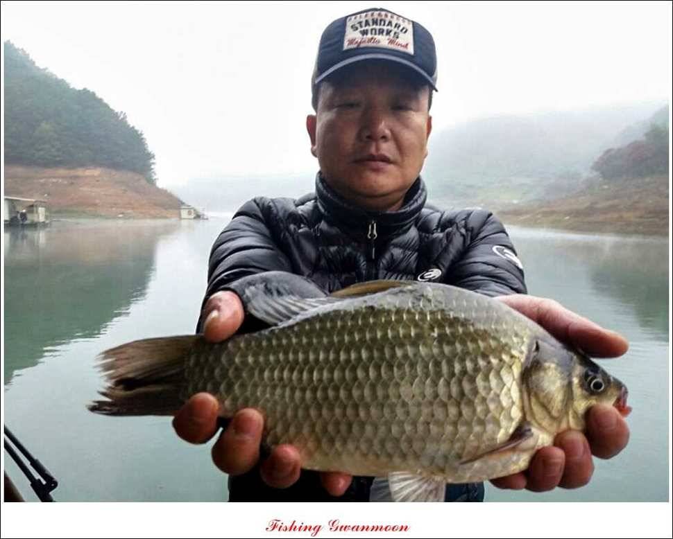 늘푸른 장어실리곡제일 달천강 월척 (조황조행기 - 특파원조황)