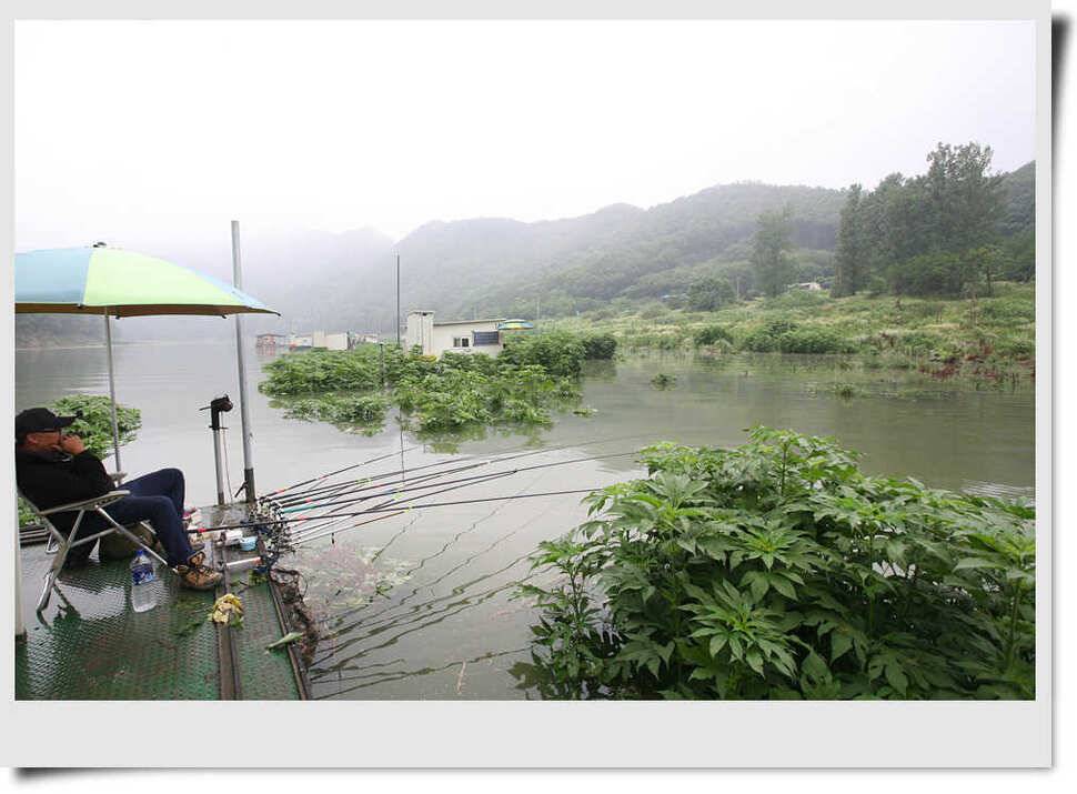 충주호 명서 4짜소식 (조황조행기 - 특파원조황)