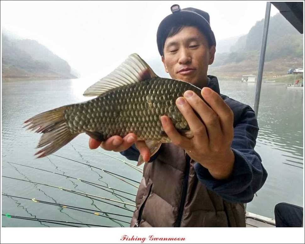 늘푸른 장어실리곡제일 달천강 월척 (조황조행기 - 특파원조황)