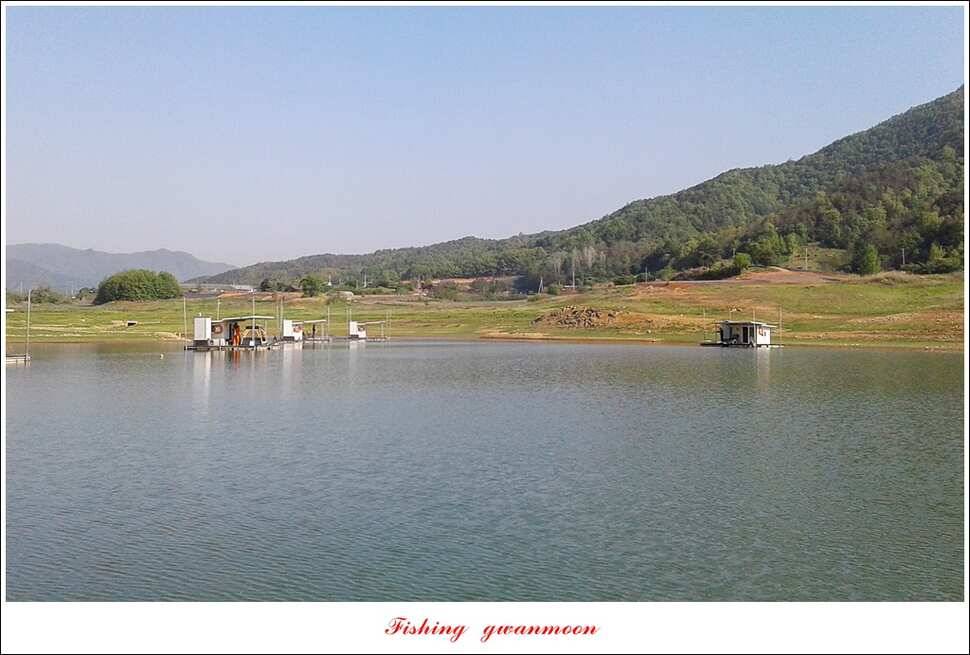 실리곡 마릿수 월척돌감 월척한버들 월척충주호 노지 (조황조행기 - 특파원조황)