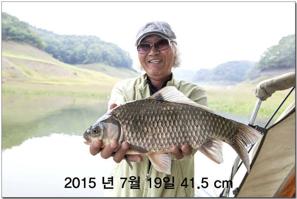 신매 낚시터 43 cm 대물 (조황조행기 - 특파원조황)