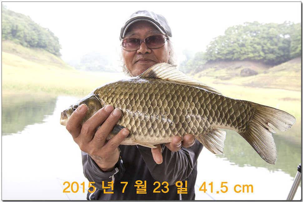 신매 낚시터 43 cm 대물 (조황조행기 - 특파원조황)