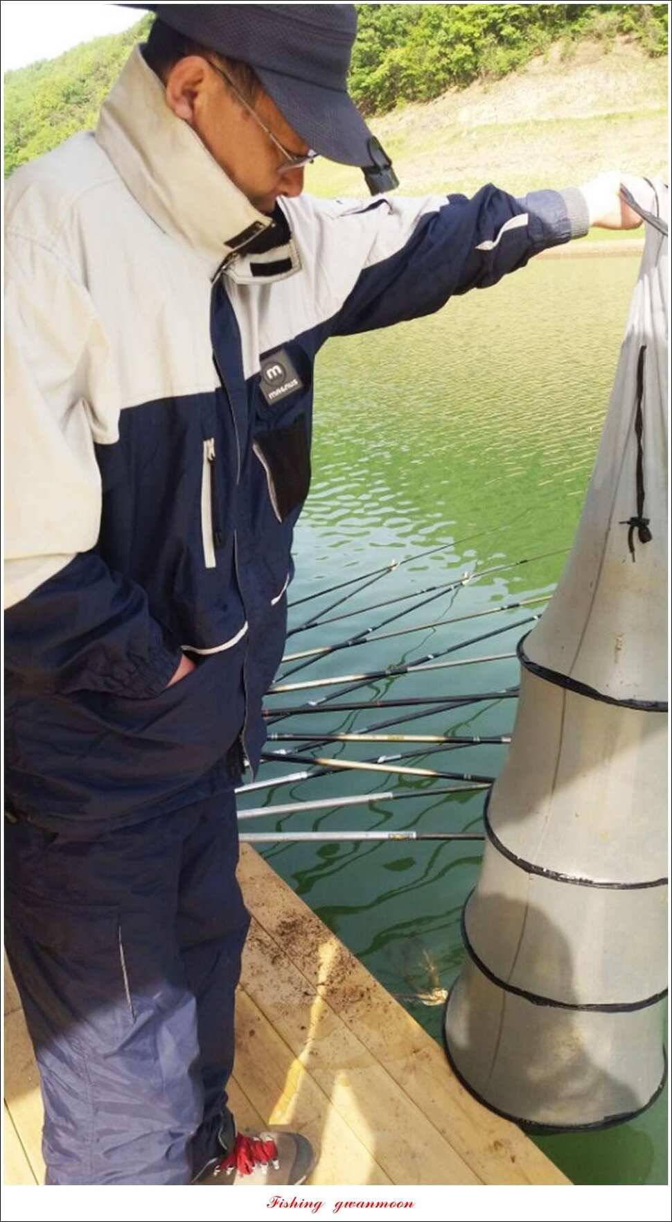 한버들 42 cm돌감 41 cm화곡지 호조황실리곡 조황 (조황조행기 - 특파원조황)