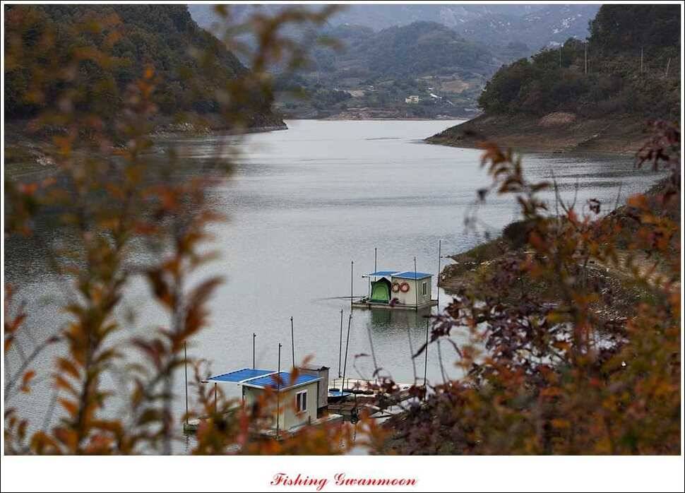 실리곡 마릿수 월척제일 월척 (조황조행기 - 특파원조황)