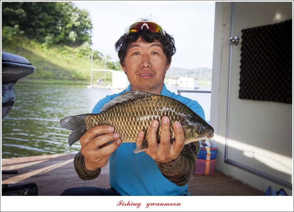 늘푸른 42cm415 cm신매 41 cm실리곡 40 cm제일 38 cm (조황조행기 - 특파원조황)