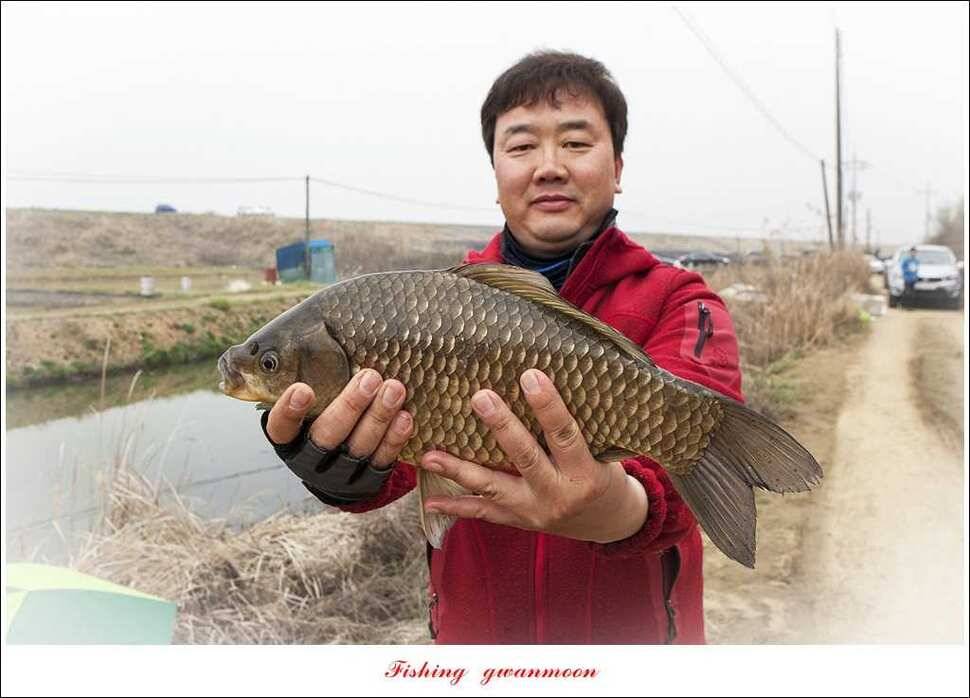 충주괴산권 호조황 소식 (조황조행기 - 특파원조황)