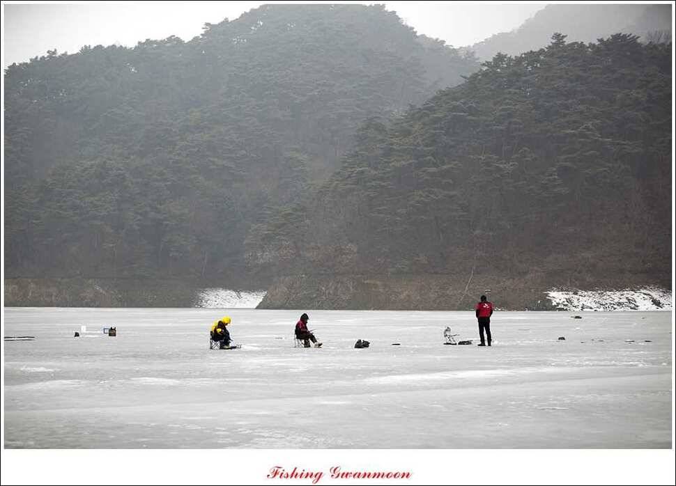 충주권 빙어 조황 (조황조행기 - 특파원조황)
