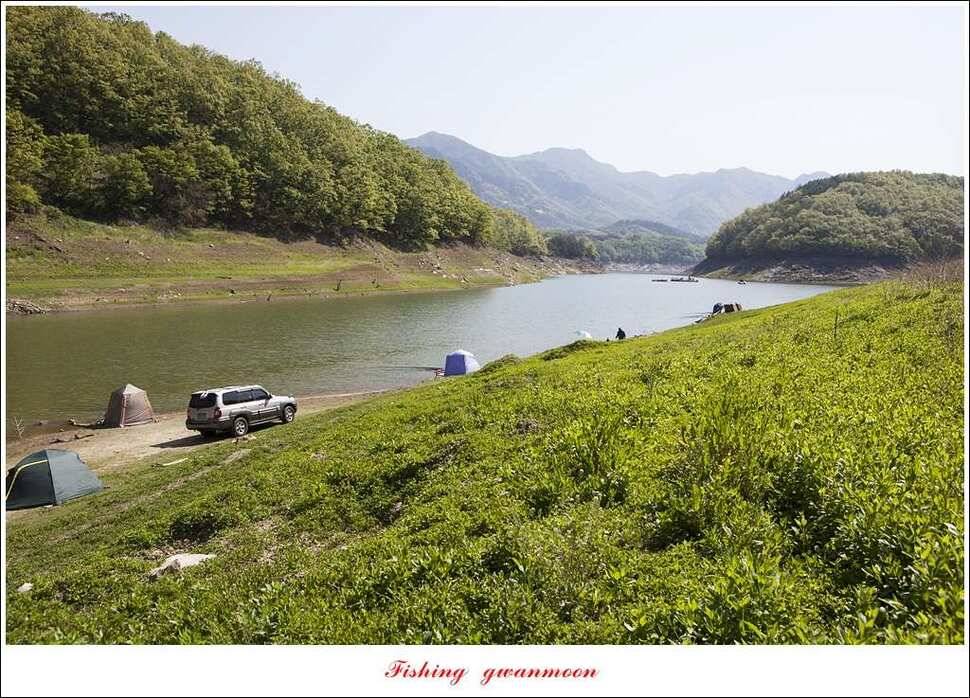 실리곡 마릿수 월척돌감 월척한버들 월척충주호 노지 (조황조행기 - 특파원조황)