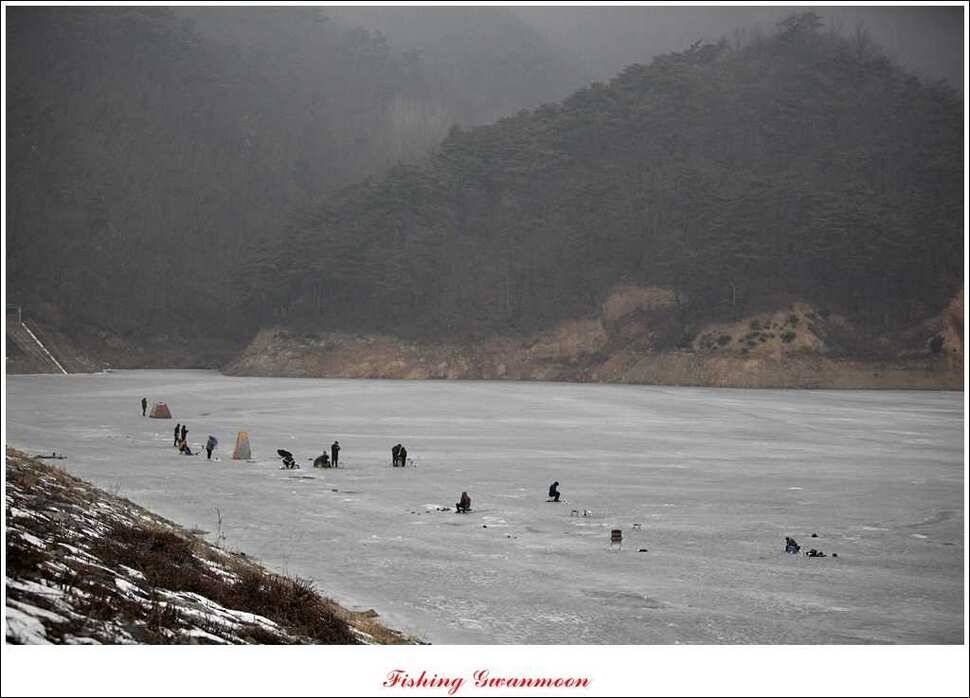 충주권 빙어 조황 (조황조행기 - 특파원조황)