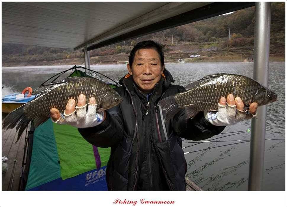 실리곡 마릿수 월척제일 월척 (조황조행기 - 특파원조황)
