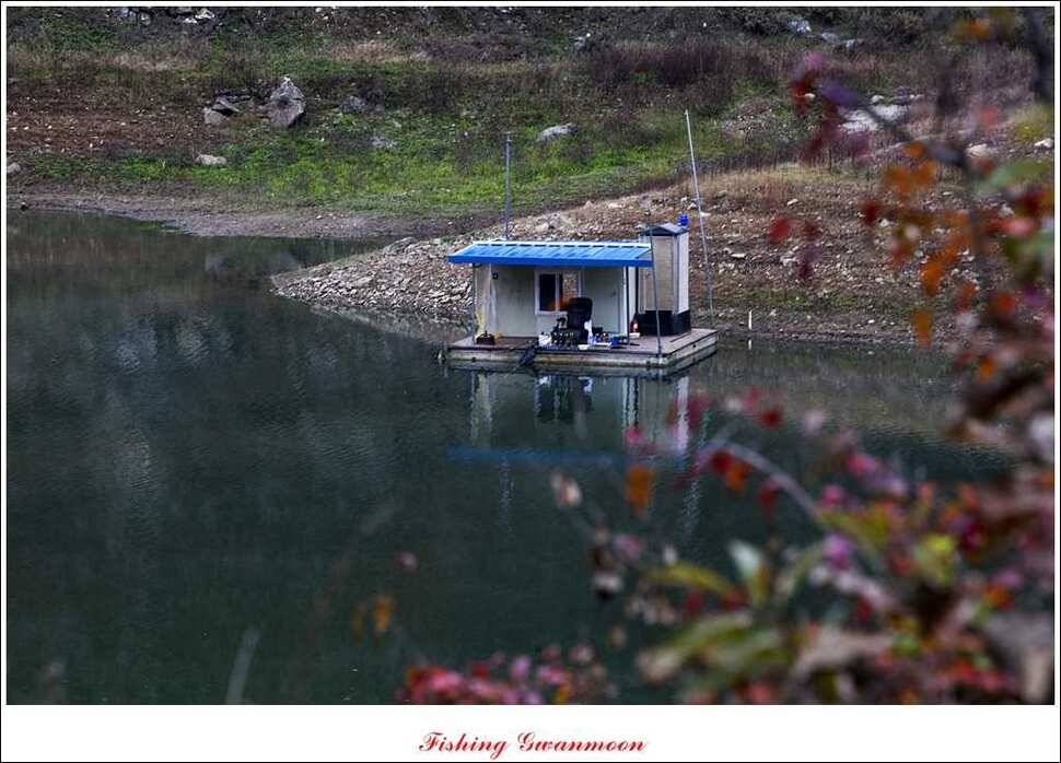 실리곡 마릿수 월척제일 월척 (조황조행기 - 특파원조황)