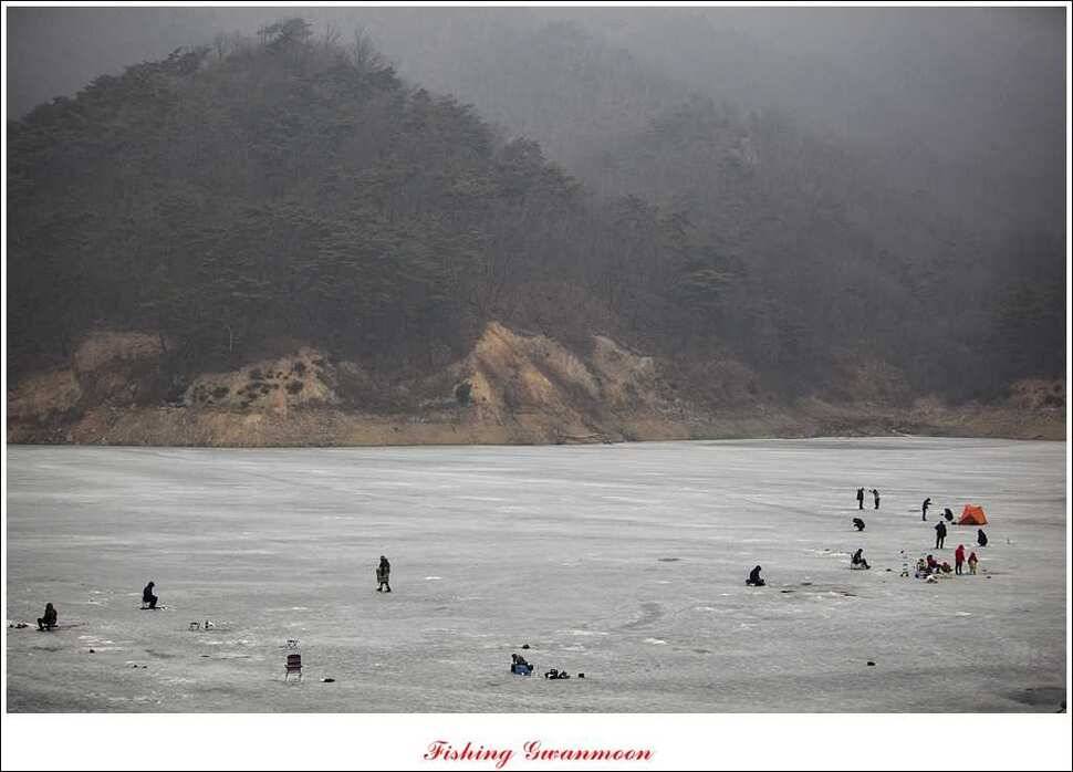 충주권 빙어 조황 (조황조행기 - 특파원조황)