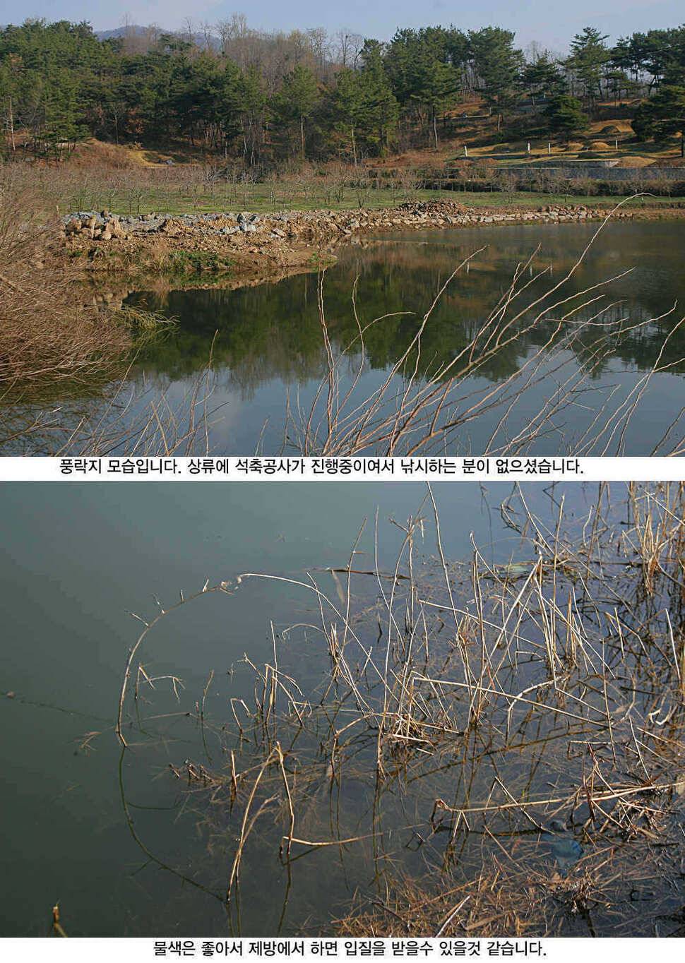 청도권 평지형저수지는 조황이 좋습니다 (조황조행기 - 특파원조황)