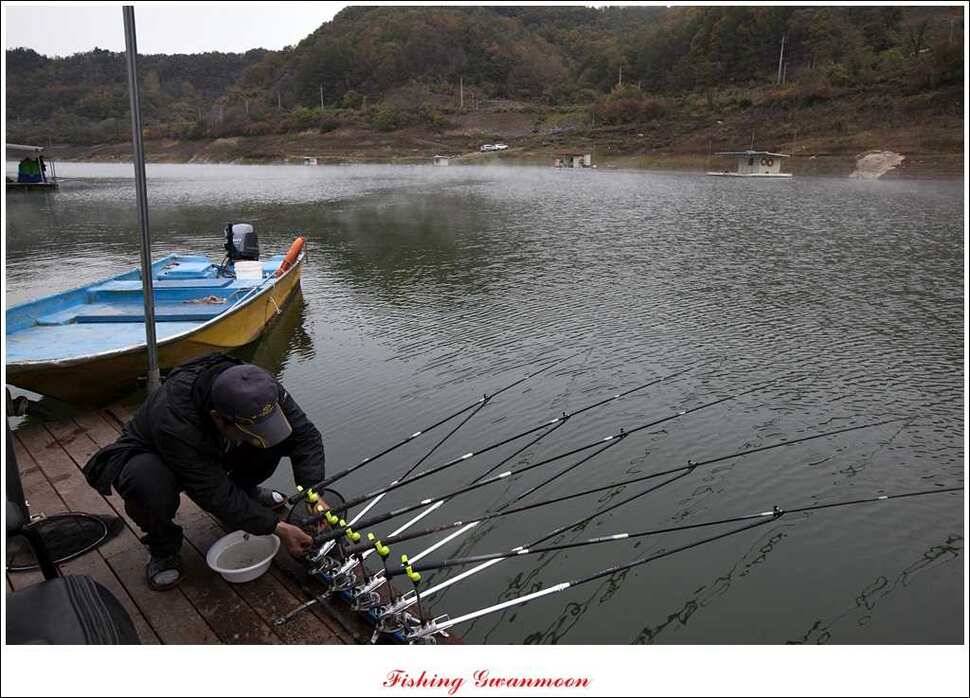 실리곡 마릿수 월척제일 월척 (조황조행기 - 특파원조황)