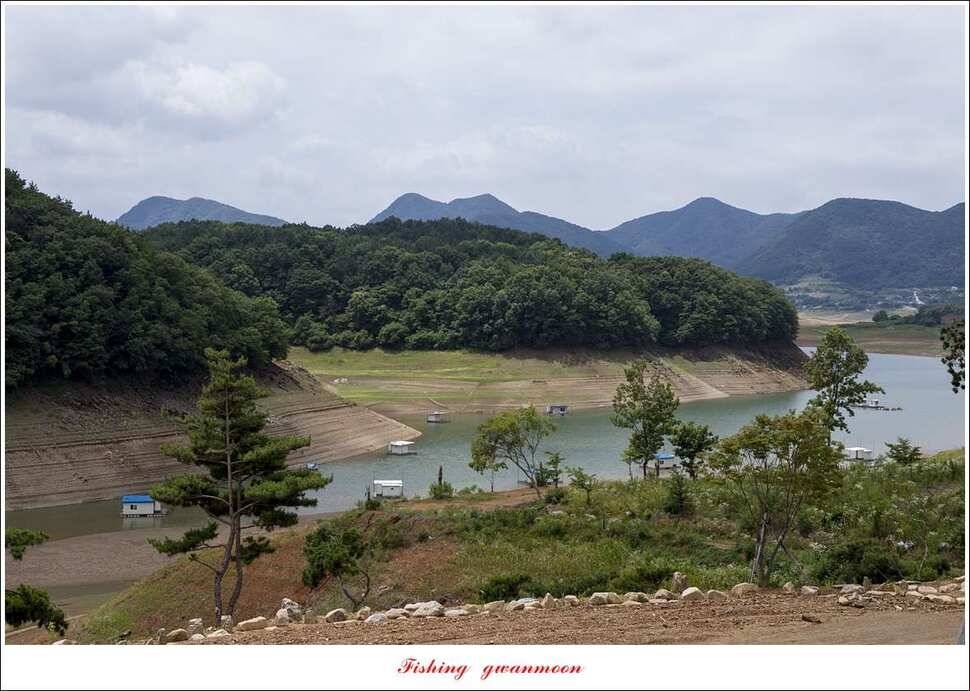 충주호 오름수위 (조황조행기 - 특파원조황)