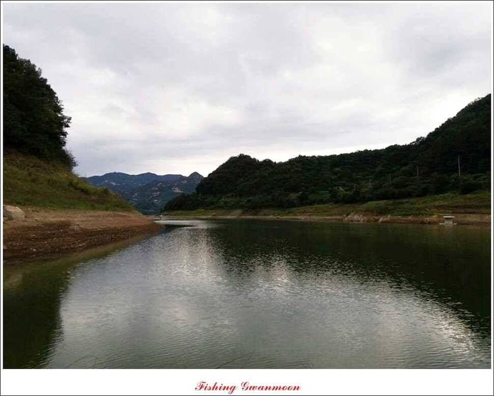 가을 문턱에 들어서는 충주호 (조황조행기 - 특파원조황)