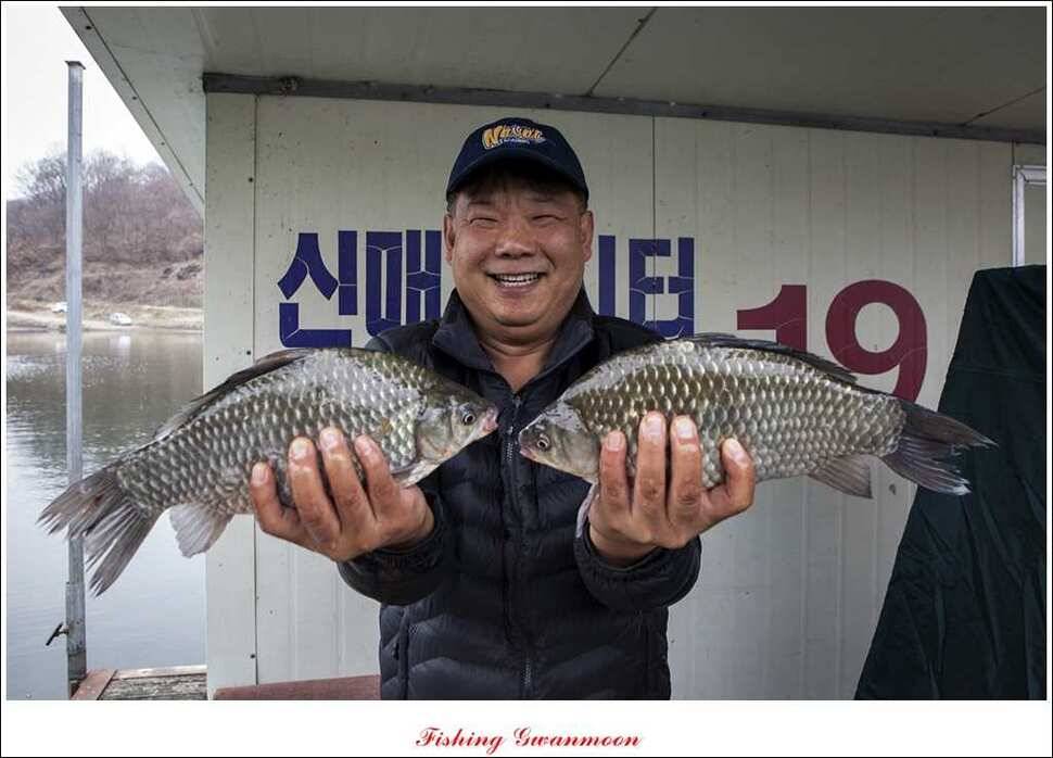 신매한버들실리곡짱가네 월척 조황 (조황조행기 - 특파원조황)