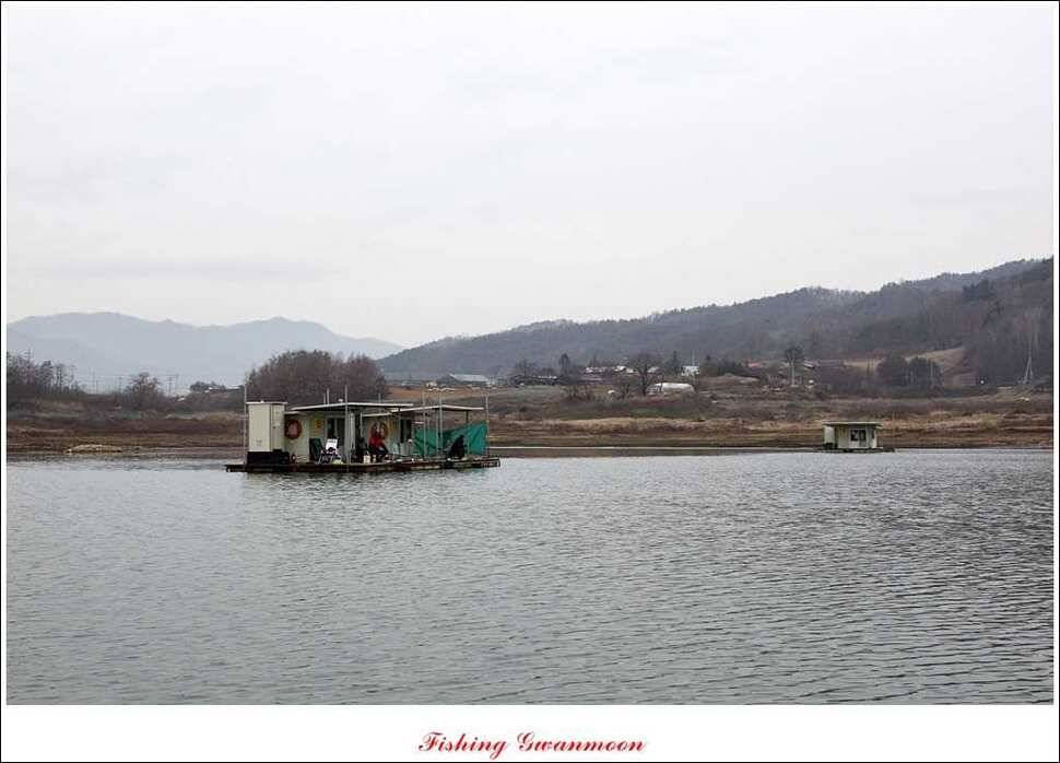 신매한버들실리곡짱가네 월척 조황 (조황조행기 - 특파원조황)
