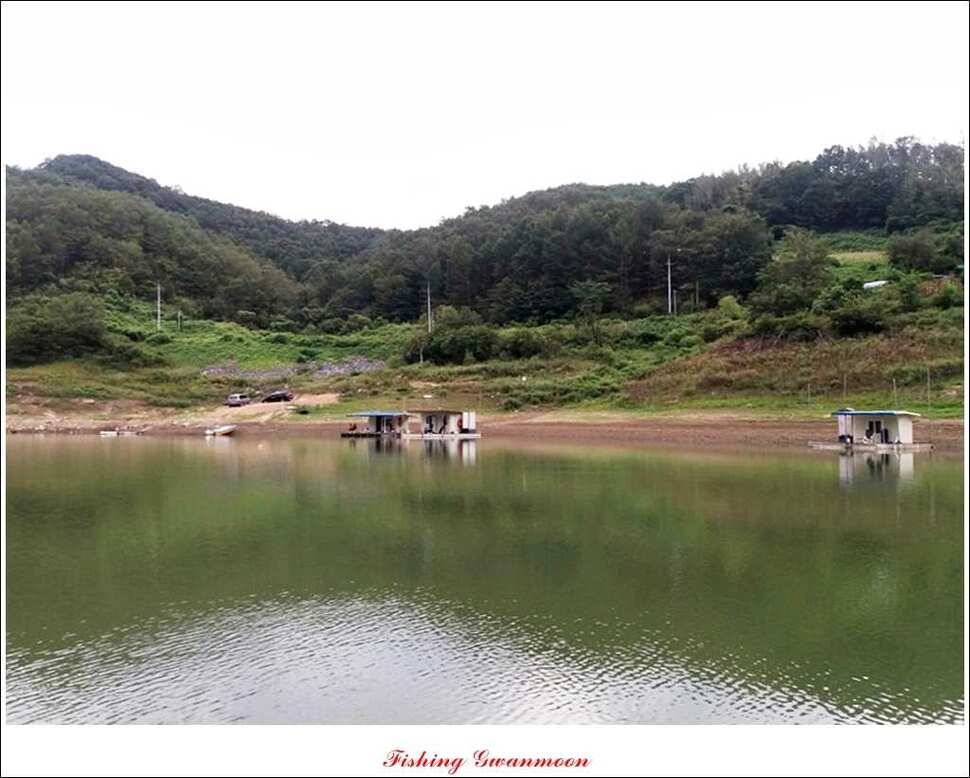 가을 문턱에 들어서는 충주호 (조황조행기 - 특파원조황)