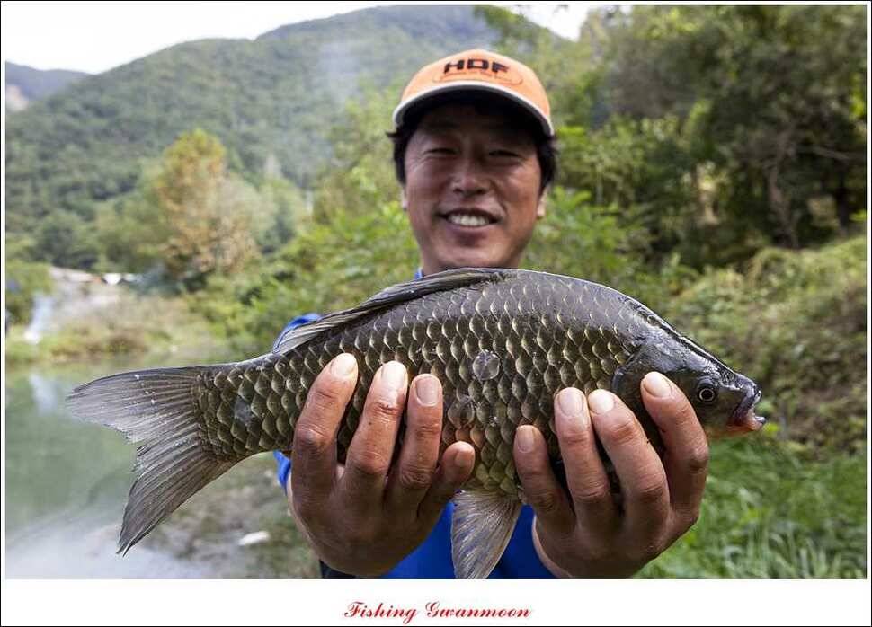 한버들 사짜 대물 (조황조행기 - 특파원조황)