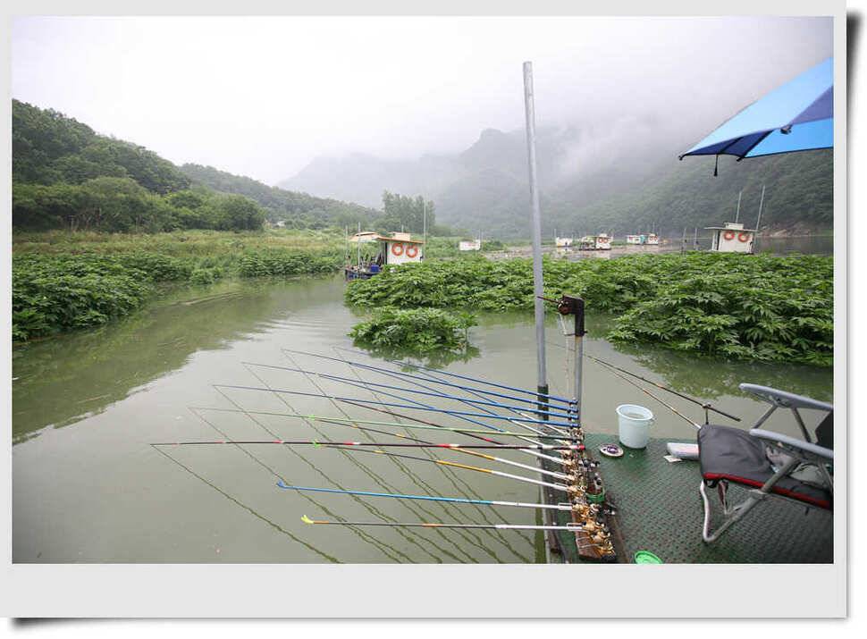충주호 명서 4짜소식 (조황조행기 - 특파원조황)