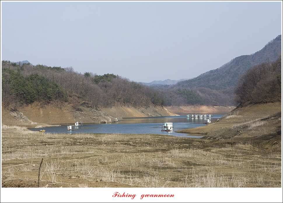 충주호 첫 붕어달천강 월척 (조황조행기 - 특파원조황)