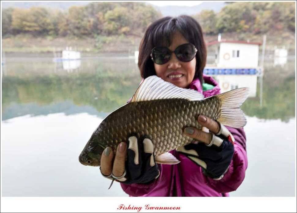 실리곡 마릿수 월척제일 월척 (조황조행기 - 특파원조황)