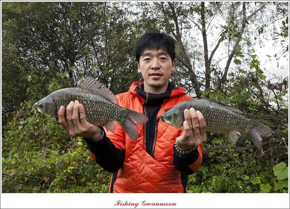 늘푸른 장어실리곡제일 달천강 월척 (조황조행기 - 특파원조황)
