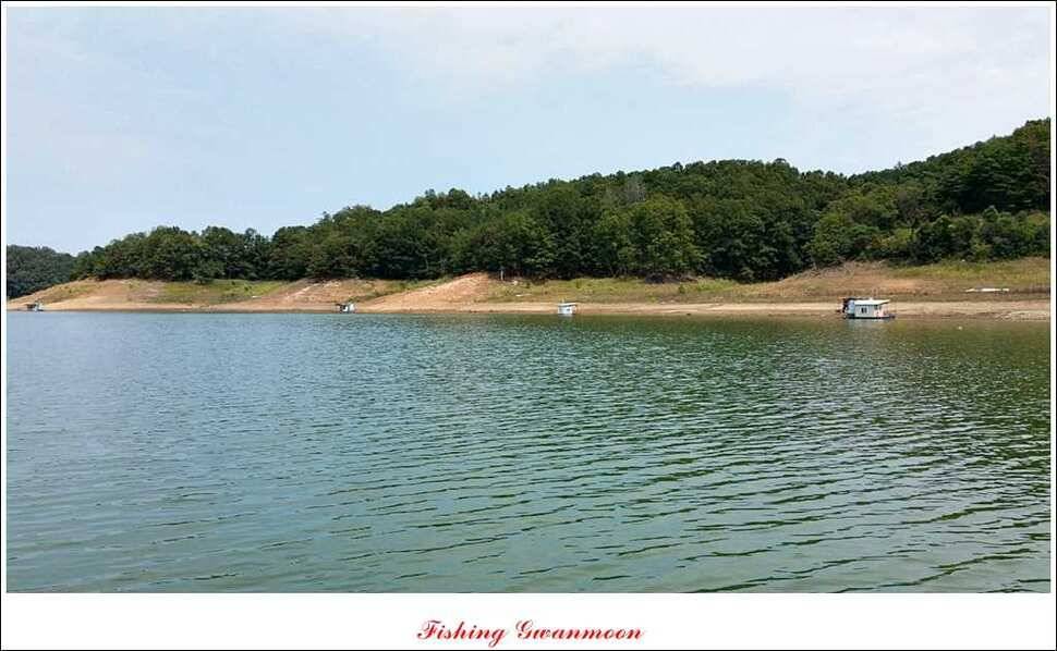 가을 문턱에 들어서는 충주호 (조황조행기 - 특파원조황)
