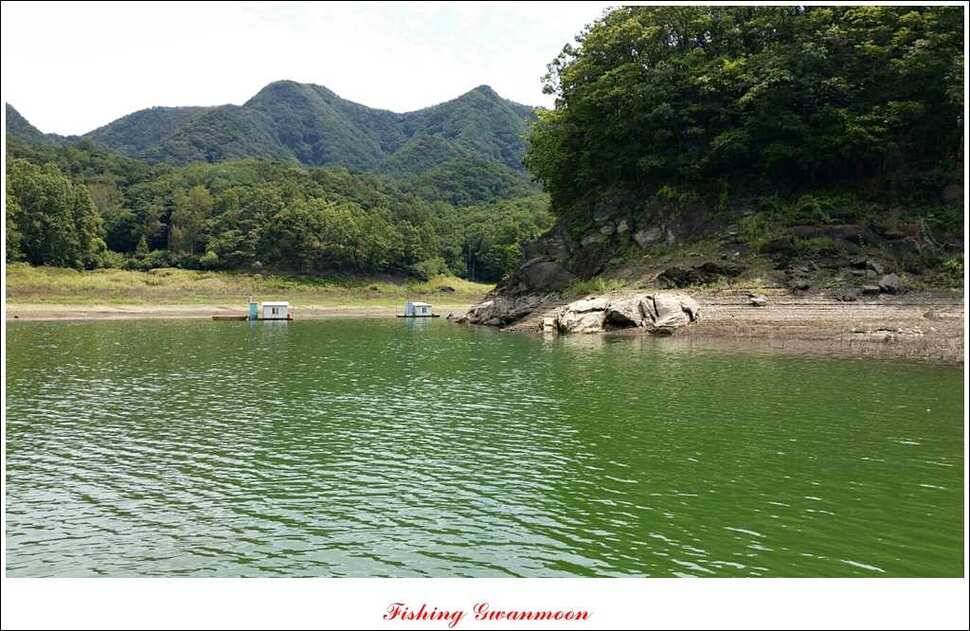 가을 문턱에 들어서는 충주호 (조황조행기 - 특파원조황)