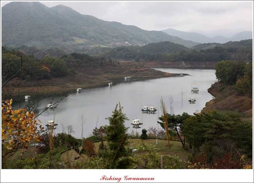 돌감 좌대 월척제일 낚시터 조황 (조황조행기 - 특파원조황)