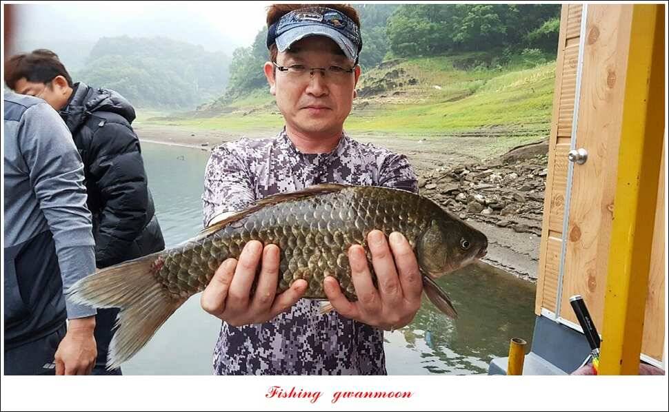 늘푸른 42 cm돌감한버들실리곡 월척 조황 (조황조행기 - 특파원조황)